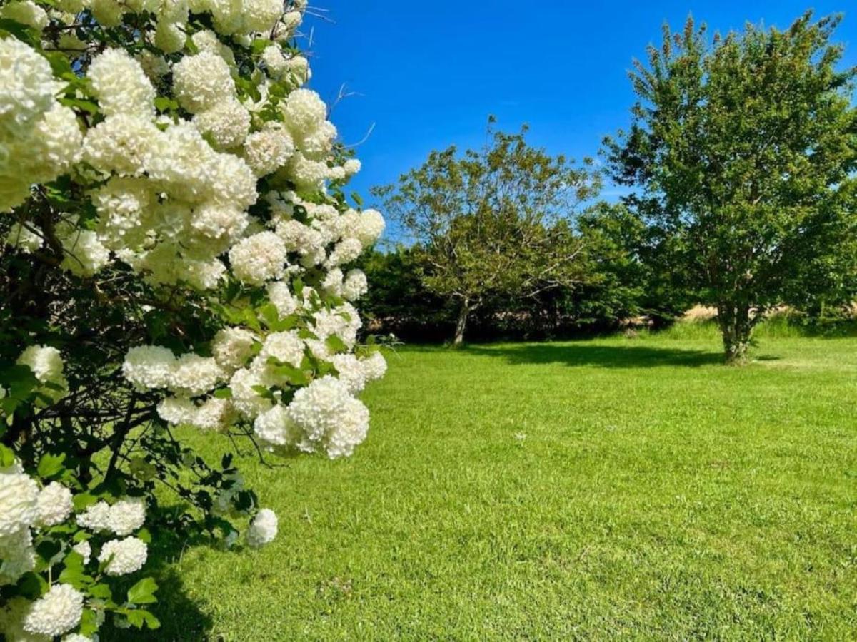 La Ferme Du Bois De Plottes Bed & Breakfast ภายนอก รูปภาพ
